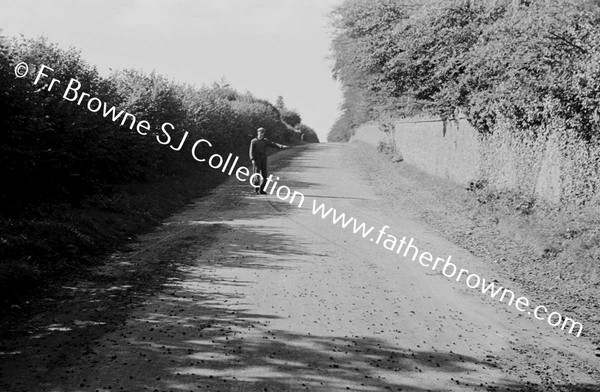 LORRY ACCIDENT NEAR NEW INN